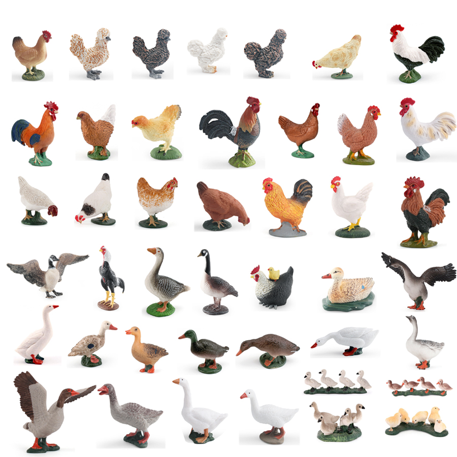 Simulation Farm Poultry Animal - Interior Design House review and price